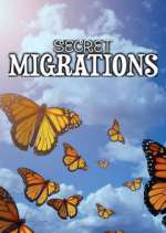 Watch Secret Migrations Tvmuse