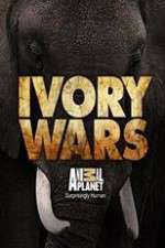 Watch Ivory Wars Tvmuse