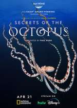 Watch Secrets of the Octopus Tvmuse