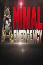 Watch Animal Emergency Tvmuse