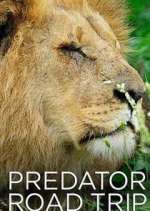 Watch Predator Road Trip Tvmuse