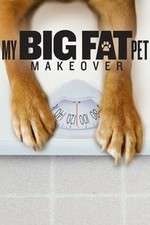 Watch My Big Fat Pet Makeover Tvmuse