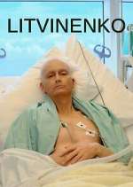 Watch Litvinenko Tvmuse