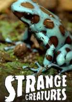 Watch Strange Creatures Tvmuse