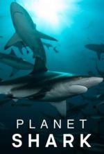 Watch Planet Shark Tvmuse