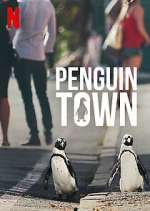 Watch Penguin Town Tvmuse