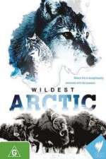 Watch Wildest Arctic Tvmuse