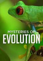 Watch Mysteries of Evolution Tvmuse