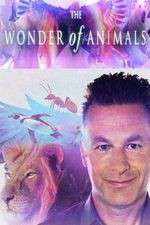 Watch The Wonder of Animals Tvmuse