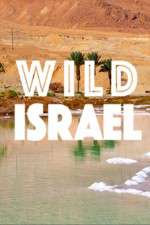 Watch Wild Israel Tvmuse