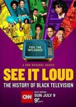 Watch See It Loud: The History of Black Television Tvmuse