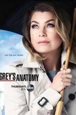 Watch Grey's Anatomy Tvmuse