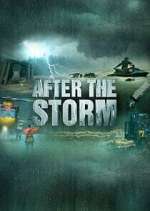 Watch After the Storm Tvmuse