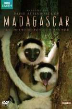 Watch Madagascar Tvmuse