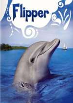 Watch Flipper Tvmuse