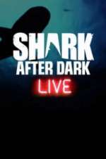 Watch Shark After Dark Tvmuse