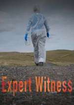 Watch Expert Witness Tvmuse