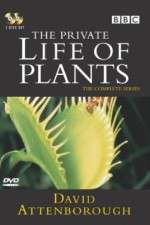 Watch The Private Life of Plants Tvmuse