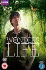 Watch Wonders Of Life Tvmuse