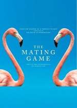 Watch The Mating Game Tvmuse