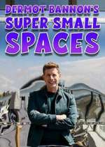 Watch Dermot Bannon's Super Small Spaces Tvmuse