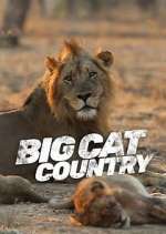 Watch Big Cat Country Tvmuse