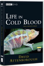 Watch Life in Cold Blood Tvmuse