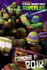 Watch Teenage Mutant Ninja Turtles Tvmuse