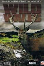 Watch Wild Wales Tvmuse