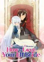 Watch An Archdemon's Dilemma: How to Love Your Elf Bride Tvmuse