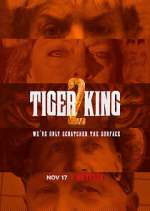 Watch Tiger King: Murder, Mayhem and Madness Tvmuse