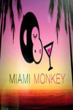 Watch Miami Monkey Tvmuse