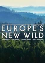 Watch Europe's New Wild Tvmuse