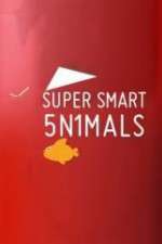 Watch Super Smart Animals Tvmuse