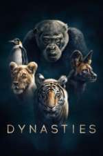 Watch Dynasties Tvmuse