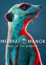 Watch Meerkat Manor: Rise of the Dynasty Tvmuse