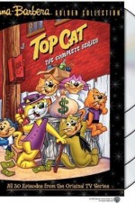 Watch Top Cat Tvmuse