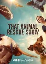 Watch That Animal Rescue Show Tvmuse