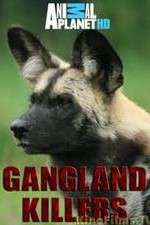 Watch Gangland Killers Tvmuse