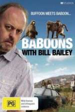 Watch Baboons with Bill Bailey Tvmuse