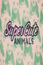 Watch Super Cute Animals Tvmuse