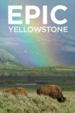 Watch Epic Yellowstone Tvmuse