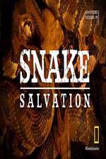 Watch Snake Salvation Tvmuse