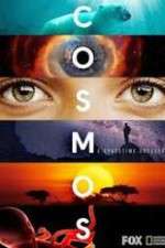 Watch Cosmos A SpaceTime Odyssey Tvmuse