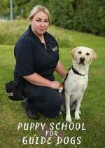 Watch Puppy School for Guide Dogs Tvmuse