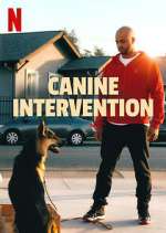 Watch Canine Intervention Tvmuse