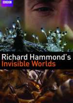 Watch Richard Hammond's Invisible Worlds Tvmuse