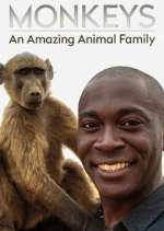Watch Monkeys: An Amazing Animal Family Tvmuse