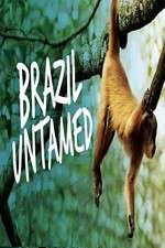 Watch Brazil Untamed Tvmuse