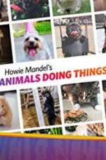 Watch Howie Mandel\'s Animals Doing Things Tvmuse